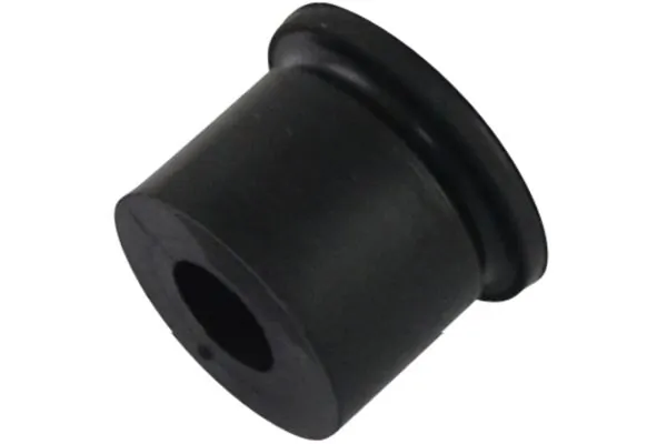 Bushing, leaf spring